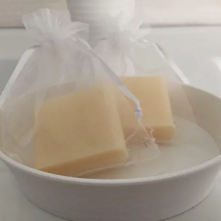 La Pierre Du Petit'hom アパート *