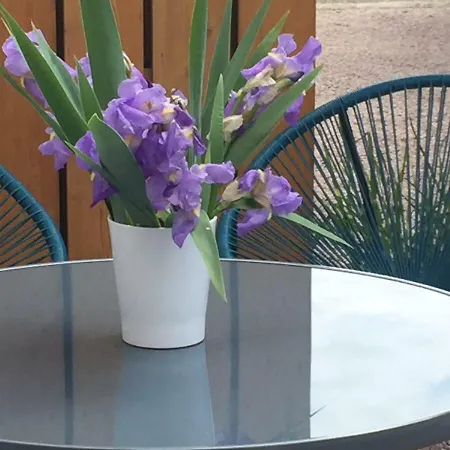 アパート La Pierre Du Petit'hom Goxwiller